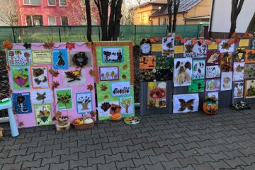 „Toamna văzută prin ochi de copil”
