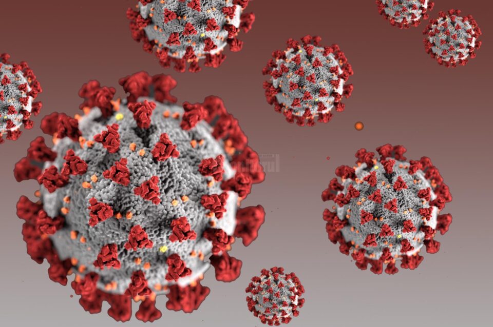 Doar 48 de cazuri noi de coronavirus în județul Suceava
