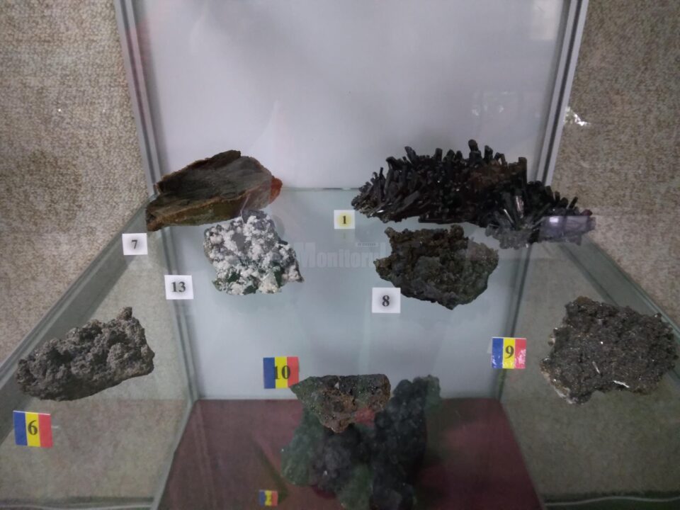 Expozitie
