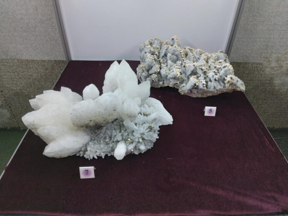 Expoziție la Muzeul de Științele Naturii Suceava
