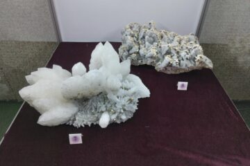 Expoziție la Muzeul de Științele Naturii Suceava