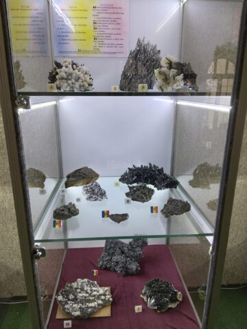 122 de eșantioane mineralogice spectaculoase, descoperite în România, expuse la Muzeul de Științele Naturii Suceava