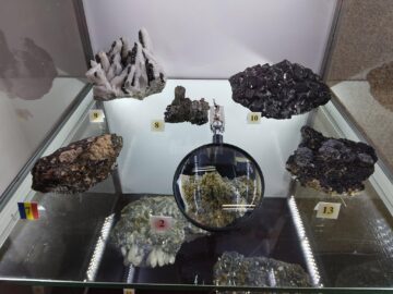 122 de eșantioane mineralogice spectaculoase, descoperite în România, expuse la Muzeul de Științele Naturii Suceava