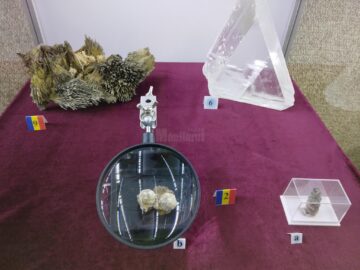 122 de eșantioane mineralogice spectaculoase, descoperite în România, expuse la Muzeul de Științele Naturii Suceava