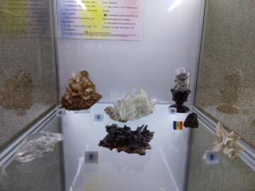 122 de eșantioane mineralogice spectaculoase, descoperite în România, expuse la Muzeul de Științele Naturii Suceava
