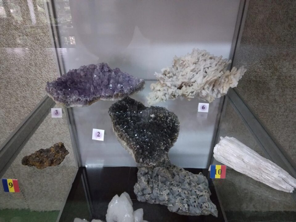 122 de eșantioane mineralogice spectaculoase, descoperite în România, expuse la Muzeul de Științele Naturii Suceava