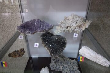 122 de eșantioane mineralogice spectaculoase, descoperite în România, expuse la Muzeul de Științele Naturii Suceava