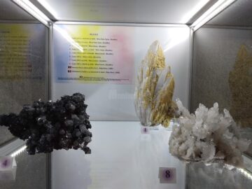 122 de eșantioane mineralogice spectaculoase, descoperite în România, expuse la Muzeul de Științele Naturii Suceava