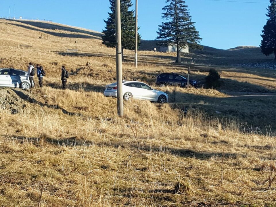 masini pajiste rarau
