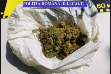 Captură de canabis