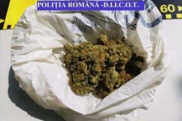 Captură de canabis
