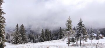 Cum a ajuns Mălini stațiune turistică, cu sute de locuri de cazare, pârtie și tiroliană
