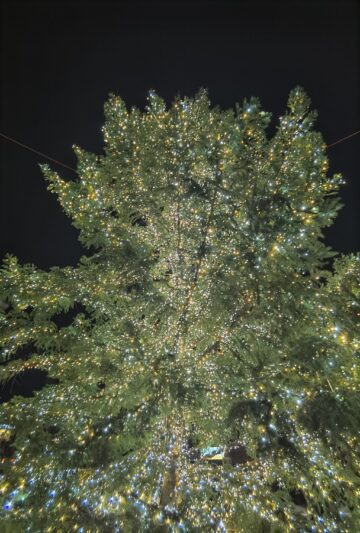 Mii de oameni au fost prezenți la aprinderea luminilor de sărbătoare, în centrul Sucevei 5