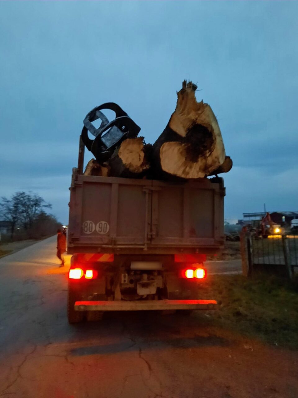 Transportul de lemn fără acte