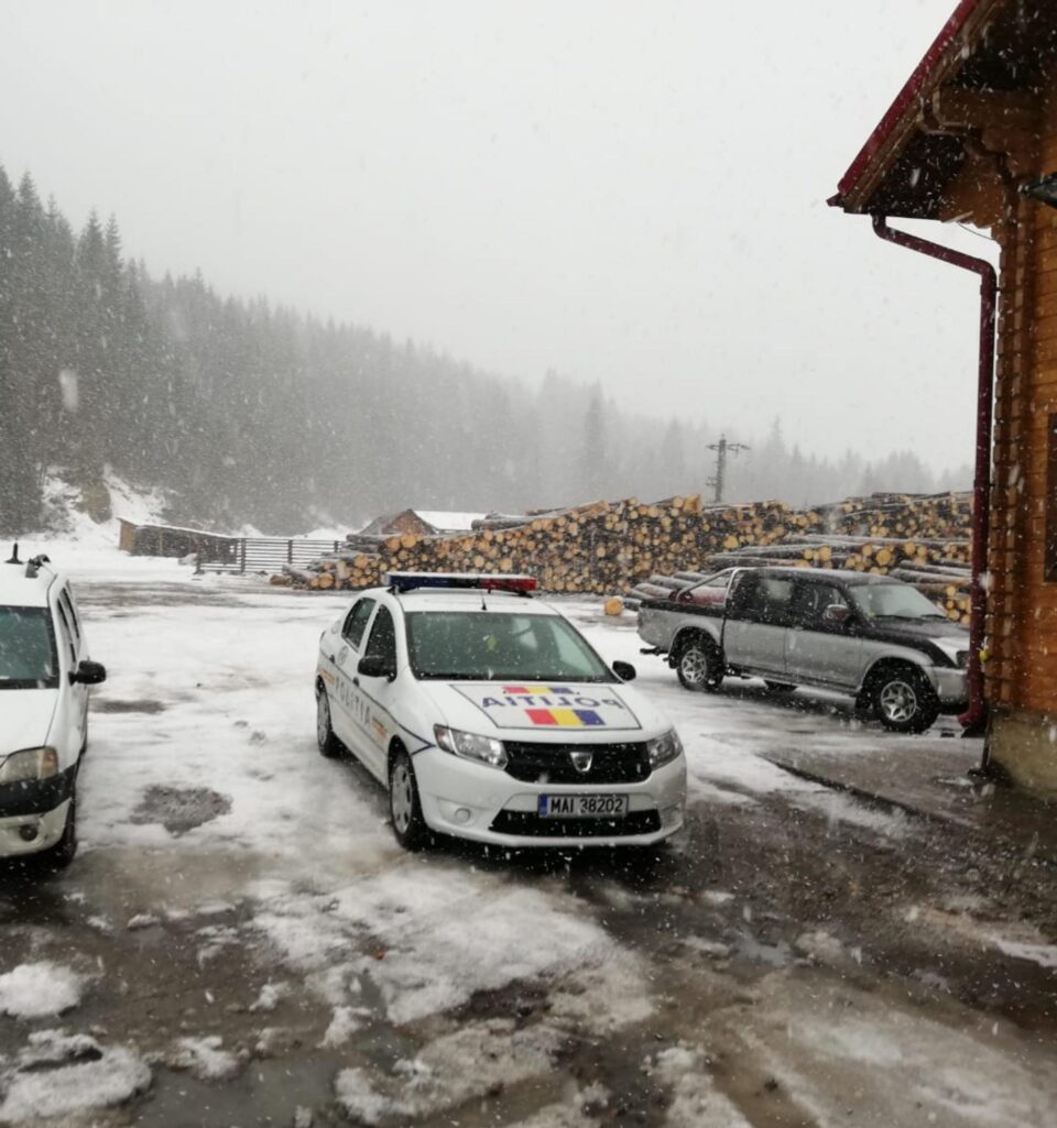 controale silvice