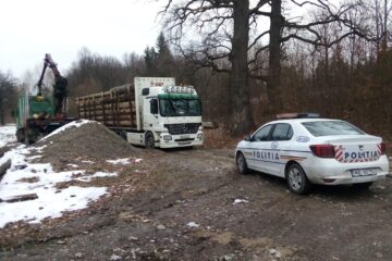 Tir de 35.000 de euro, confiscat cu tot cu 35 de mc lemn transportat ilegal