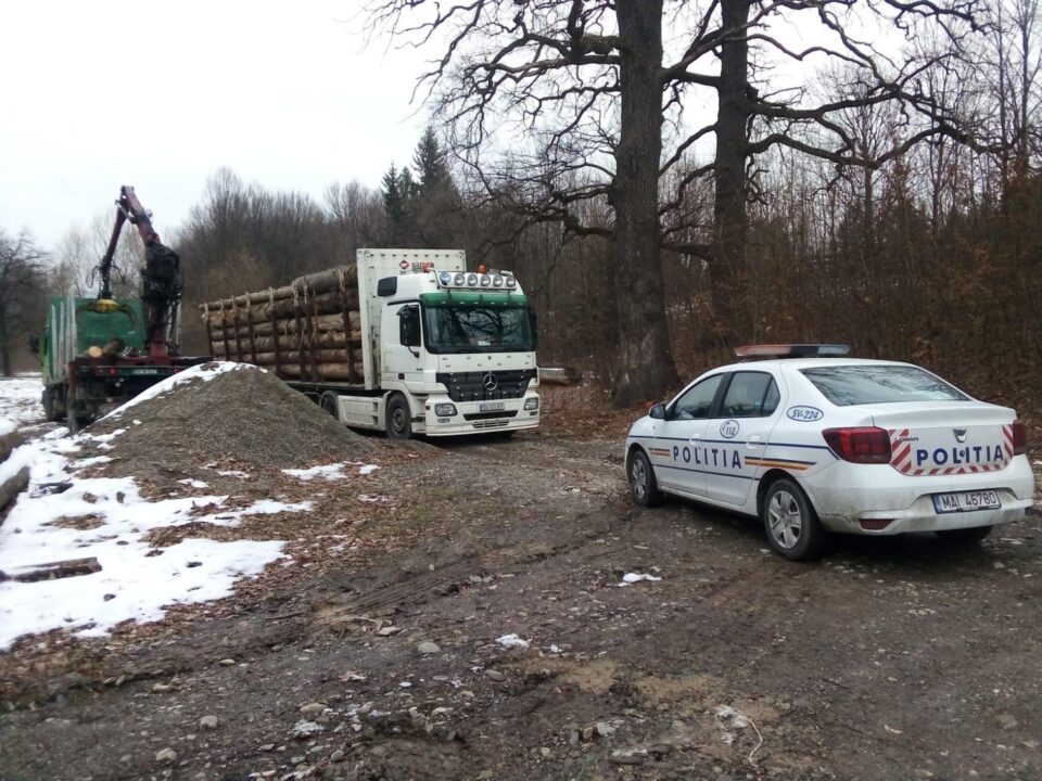 Tir de 35.000 de euro, confiscat cu tot cu 35 de mc lemn transportat ilegal