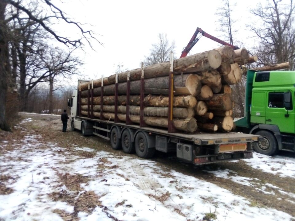 Tir de 35.000 de euro, confiscat cu tot cu 35 de mc lemn transportat ilegal