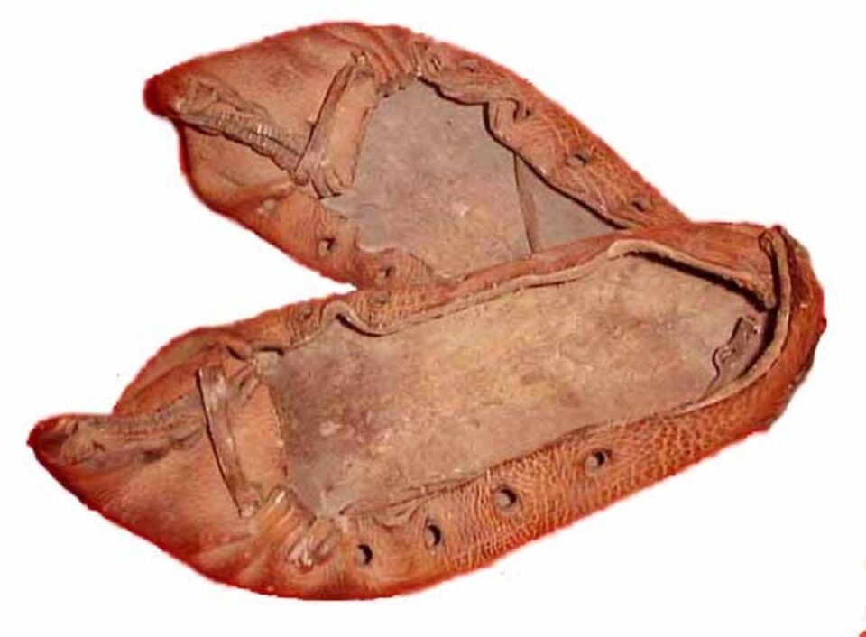OPINCI