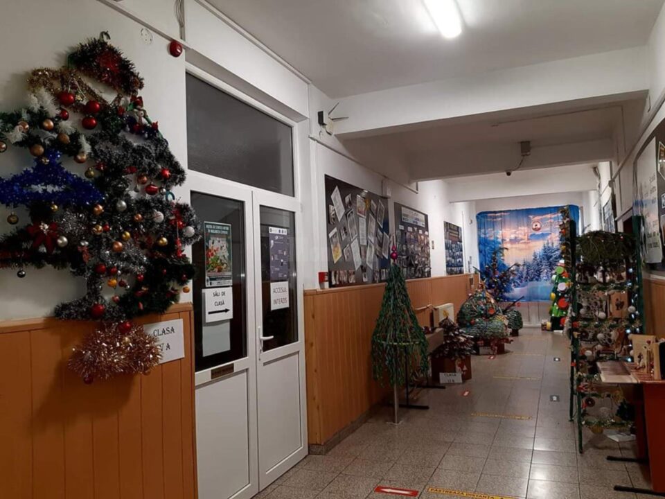 Expoziție de „brazi neconvenționali”, la Școala Gimnazială „Grigore Ghica Voievod”