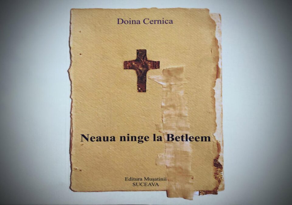 Ninsoarea logosului doinit