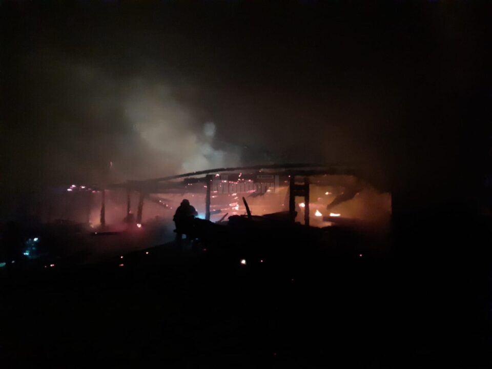 adapost animale incendiu
