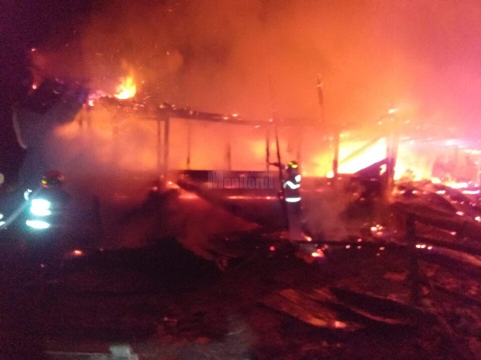 adapost animale incendiu