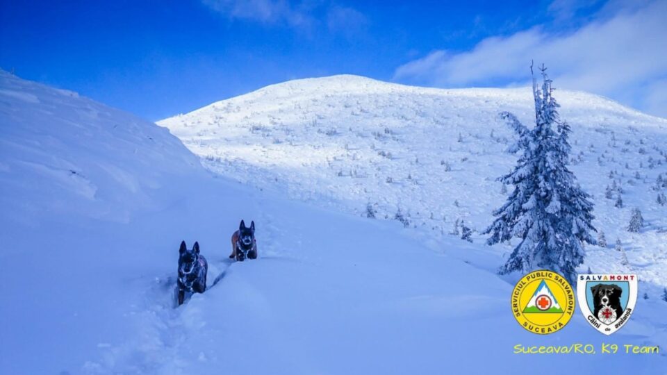 Mai multe trasee montane nu sunt recomandate turiștilor. Stratul de zăpadă în zonele de munte ajunge și la 70 de centimetri Mai multe trasee montane nu sunt recomandate turiștilor. Stratul de zăpadă în zonele de munte ajunge și la 70 de centimetri
