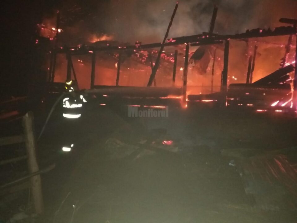 adapost animale incendiu