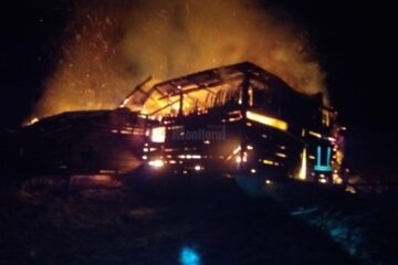 adapost animale incendiu