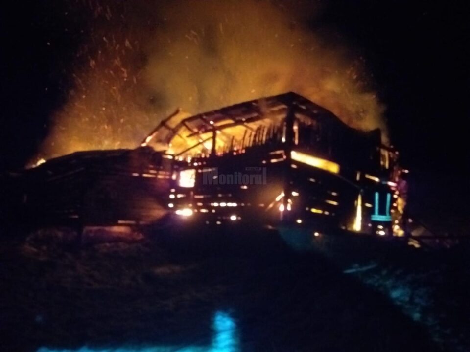 adapost animale incendiu