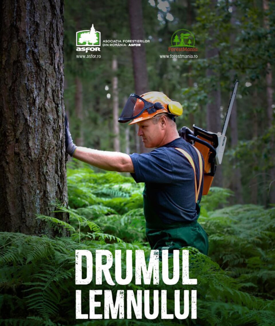 Drumul lemnului