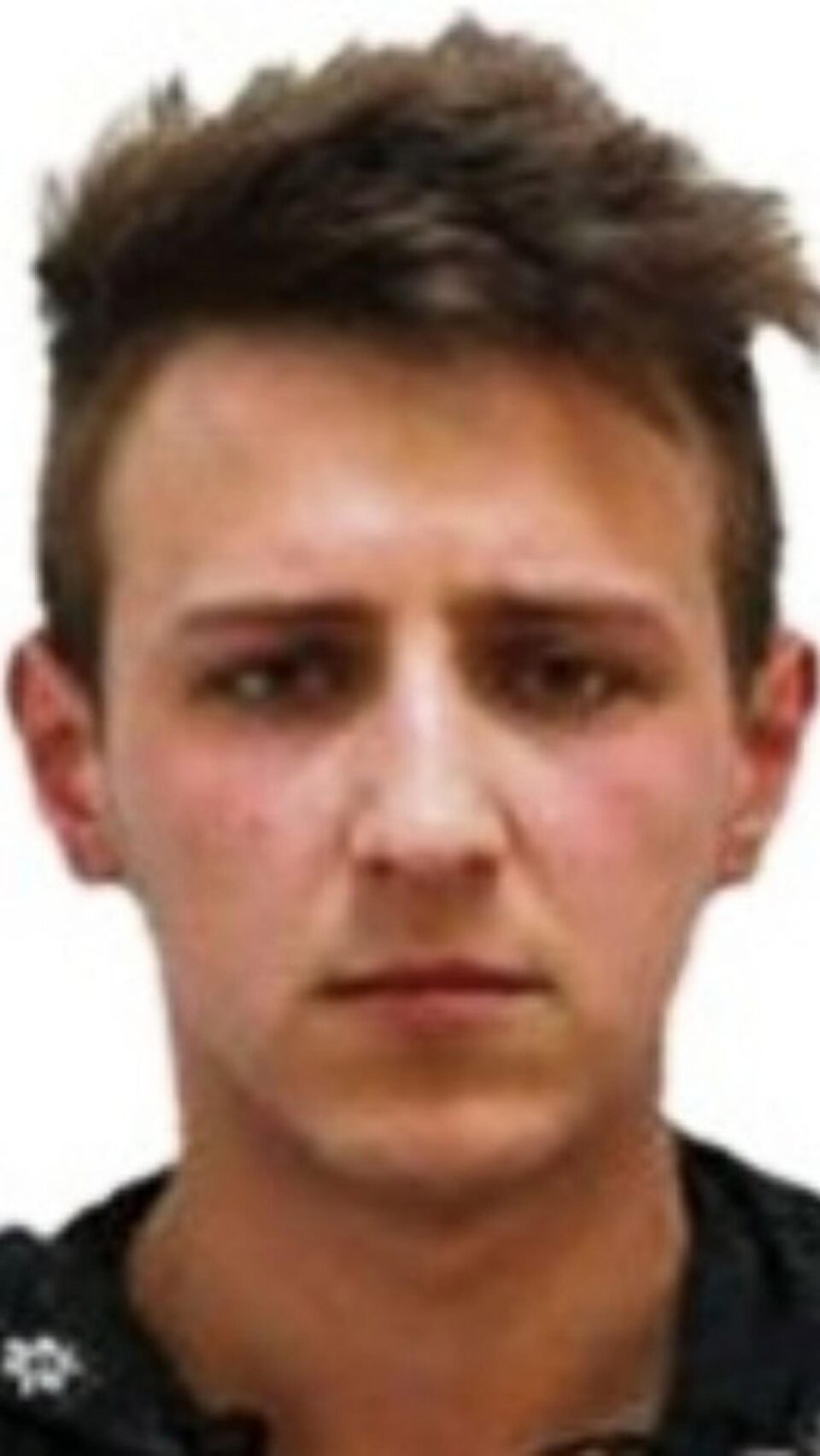 Nicolae Andrei Poenar