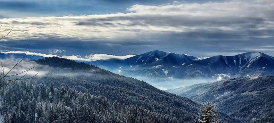 Pasul Tarnița sau Pasul Puzdra, o pitorească trecătoare situată la 1161 m altitudine, care face legătura între valea Bistriței și Depresiunea Ostra Foto RNP