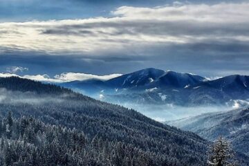 Pasul Tarnița sau Pasul Puzdra, o pitorească trecătoare situată la 1161 m altitudine, care face legătura între valea Bistriței și Depresiunea Ostra Foto RNP