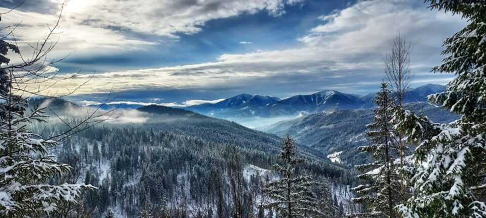 Pasul Tarnița sau Pasul Puzdra, o pitorească trecătoare situată la 1161 m altitudine, care face legătura între valea Bistriței și Depresiunea Ostra Foto RNP