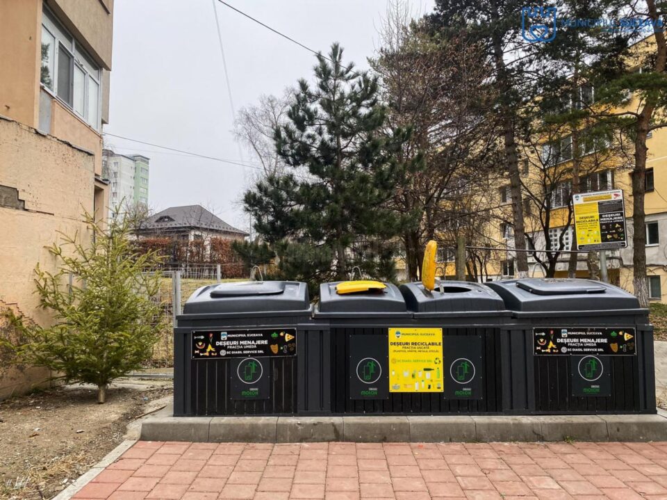 Brazii de Crăciun se vor ridica gratuit de lângă punctele de colectare selectivă, de către echipele de salubrizare 2