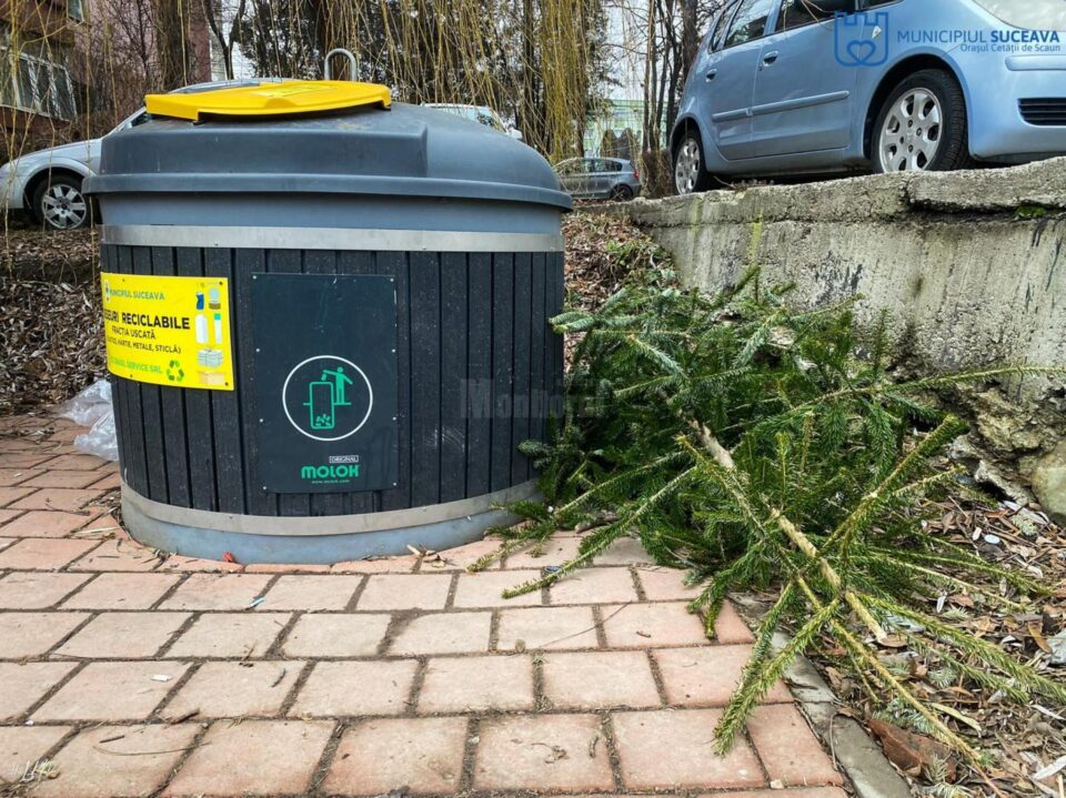 Brazii de Crăciun se vor ridica gratuit de lângă punctele de colectare selectivă, de către echipele de salubrizare