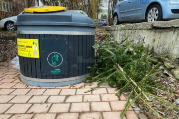 Brazii de Crăciun se vor ridica gratuit de lângă punctele de colectare selectivă, de către echipele de salubrizare