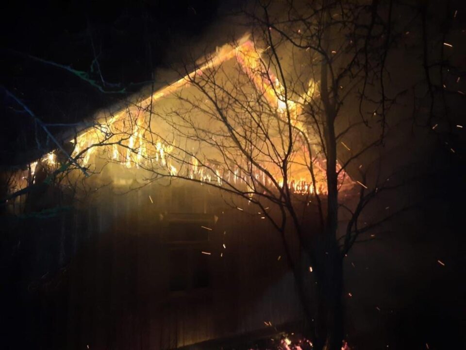 Dorna Arini incendiu