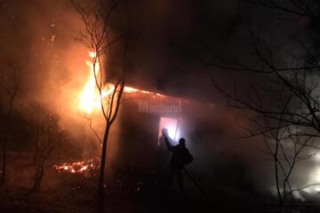 Dorna Arini incendiu