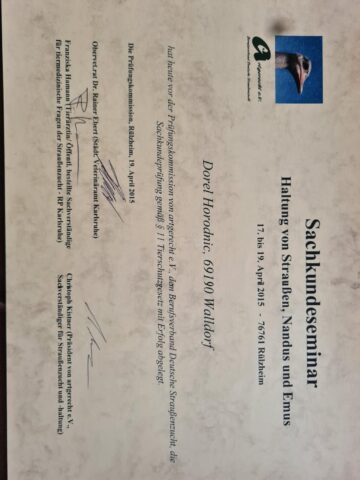 Diploma de specializare