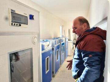 Dorel Horodnic si incubatoarele din care vor iesi pui de strut