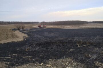 Incendiul de la Dumbrăveni