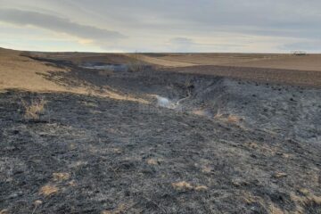 Incendiul de miriște izbucnit joi în satul Mihăiești, comuna Horodniceni, care s-a extins pe aproximativ 5 hectare