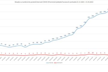 Peste 320 de suceveni cu Covid sunt internați în spitalele din județ