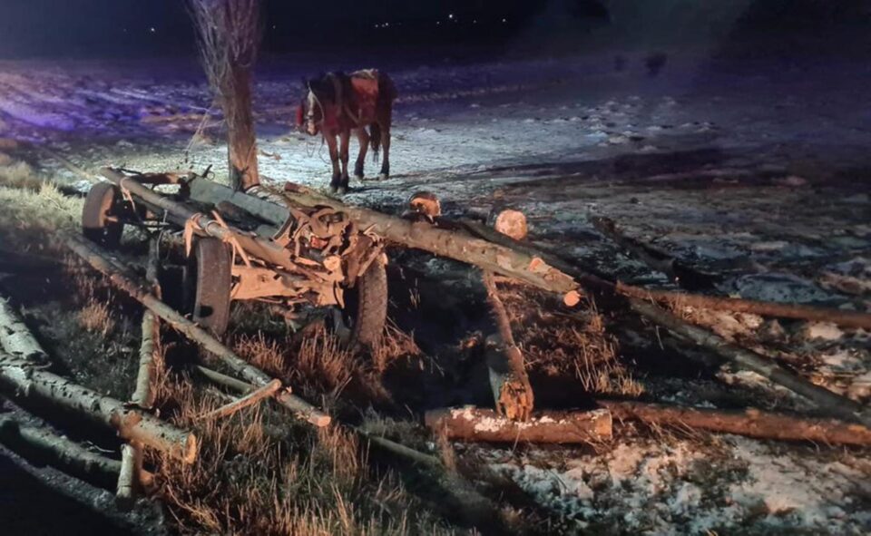 Căruța implicată în accident