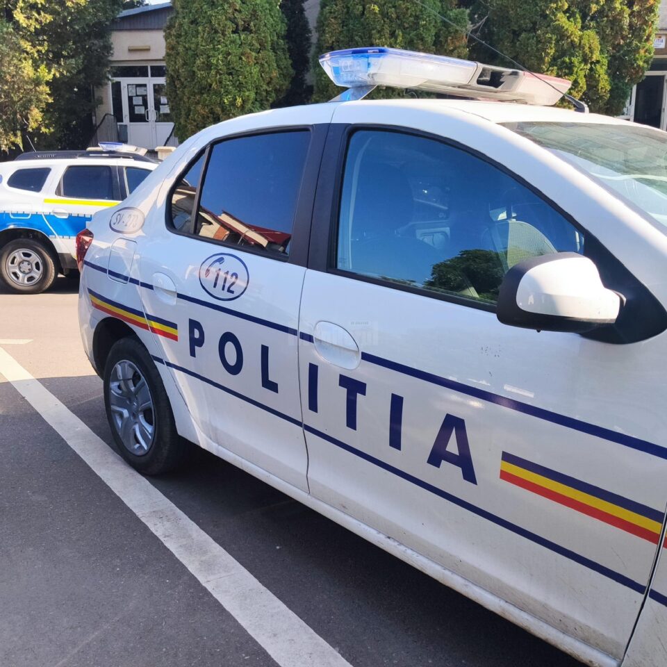 Tir de 50.000 de euro, confiscat pentru un transport de 12 mc lemn fără acte