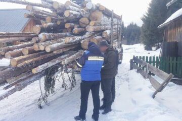Camionul oprit de jandarmi la Moldovița