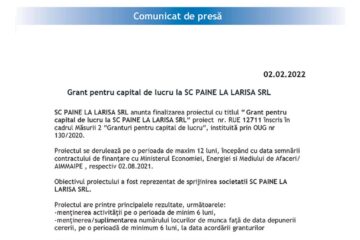 Grant pentru capital de lucru la SC PAINE LA LARISA SRL